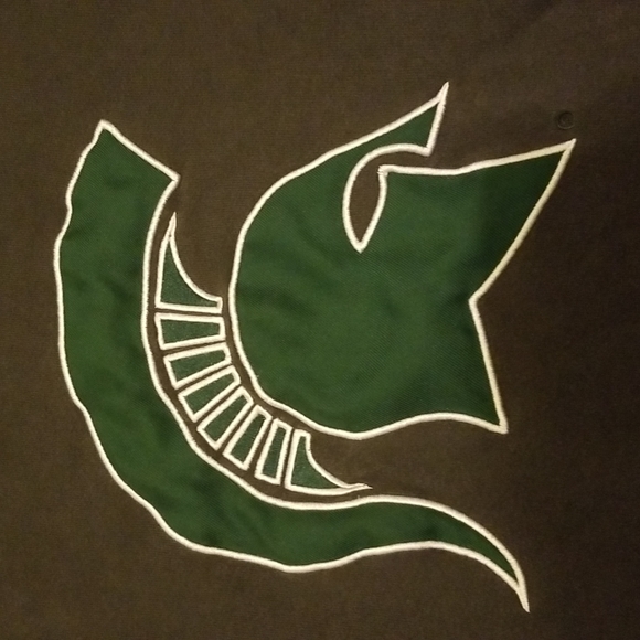 Michigan State Spartans xl stadium hoodie - Picture 2 of 3